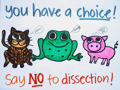 You have a choice! Say NO to dissection!