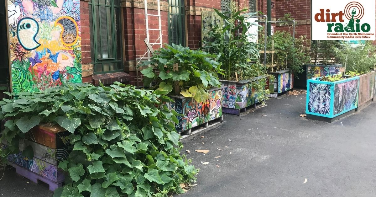 Drill hall community gardens