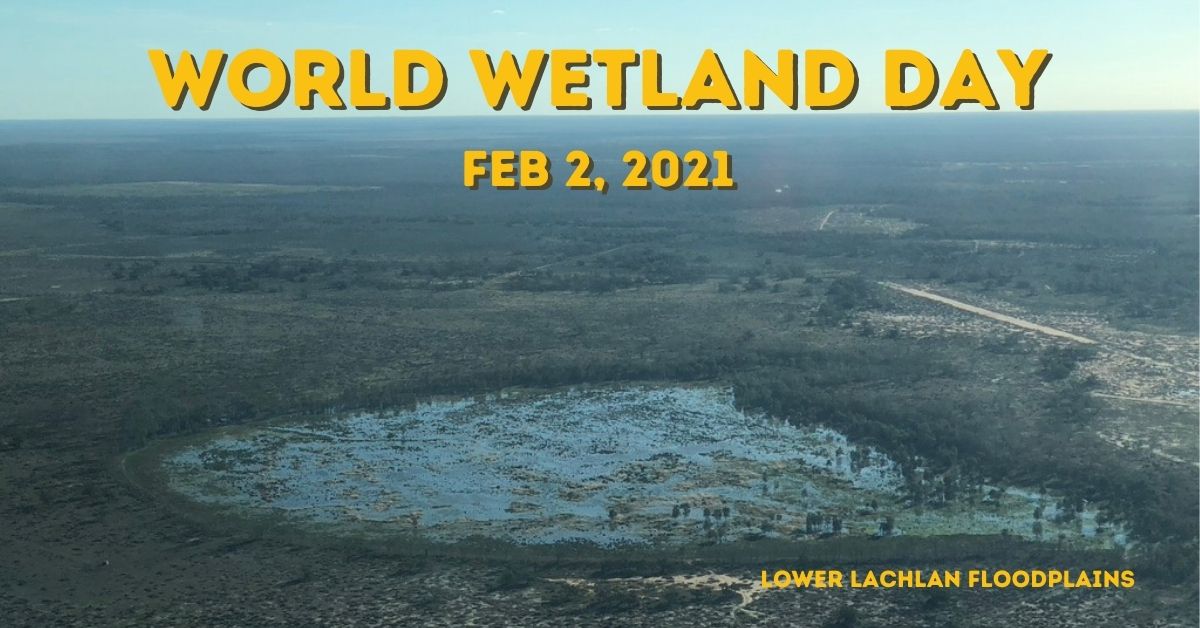 World Wetlands Day