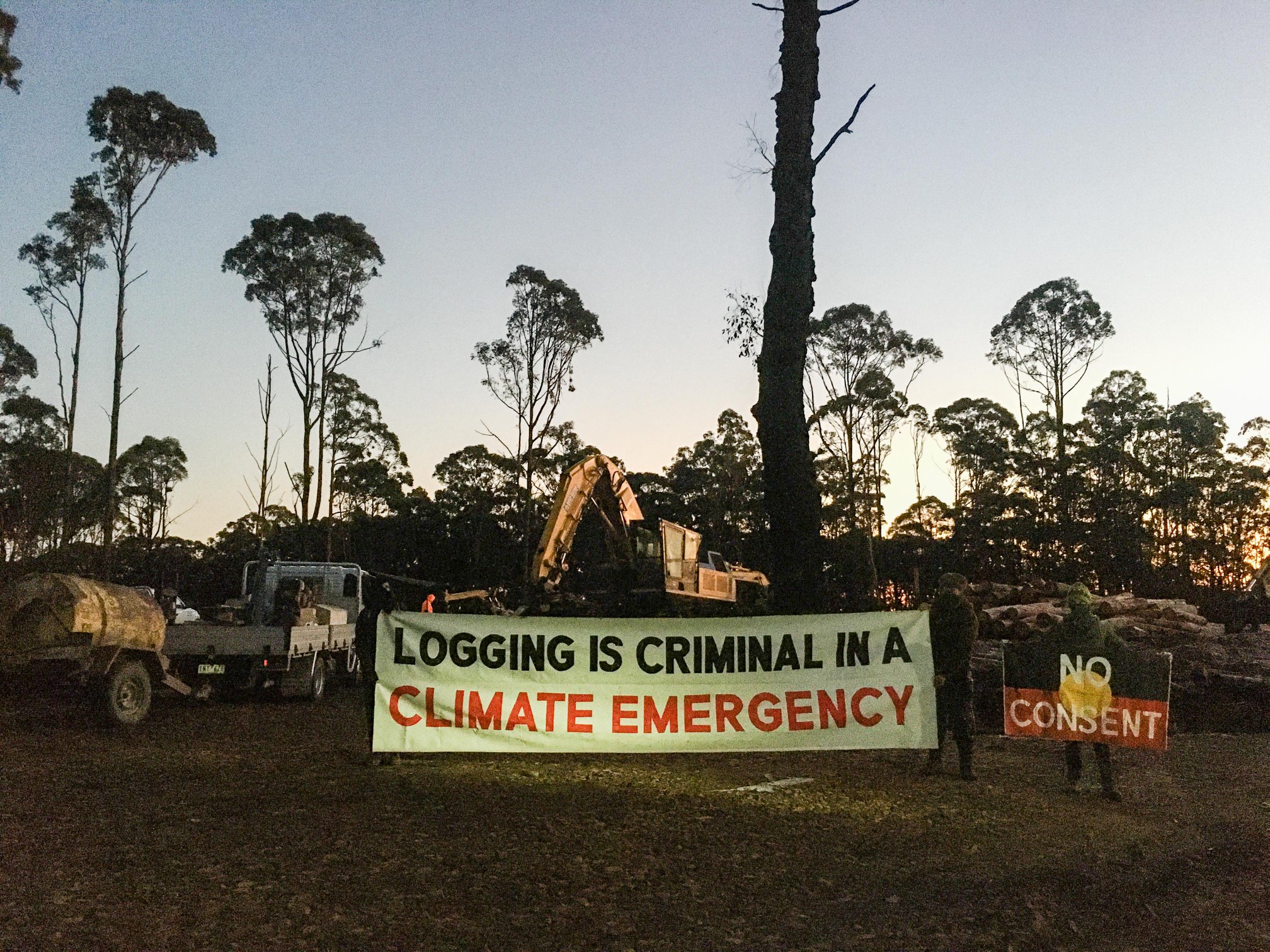 Logging is criminal in a climate emergency