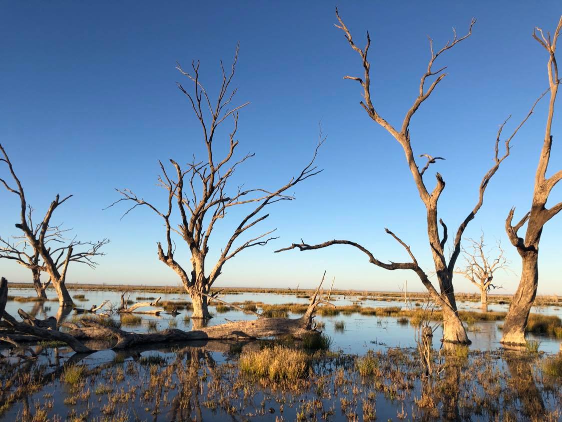 Flows creeping into Lake Menindee