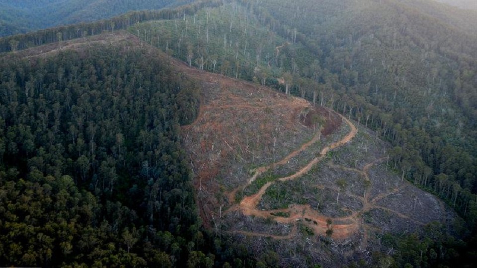 Ariel of Big River coup, East Gippsland. Photo: https://flic.kr/p/e2yNQc