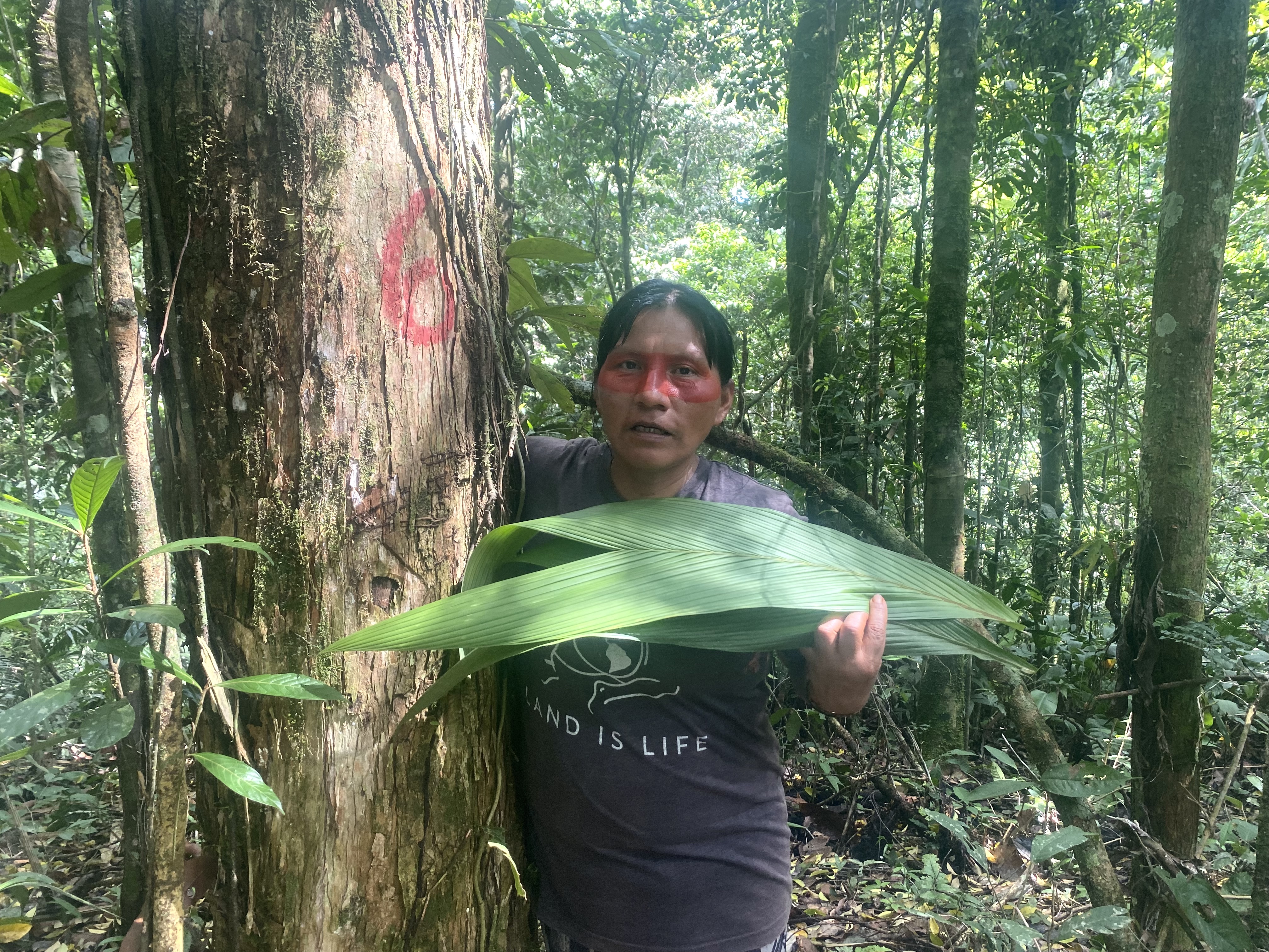 Waorani leader  Alicia Cahuiya standing next to a tree near her community marked to be cut down by Petroecuador (the company now banned from drilling in Yasuní National Park).