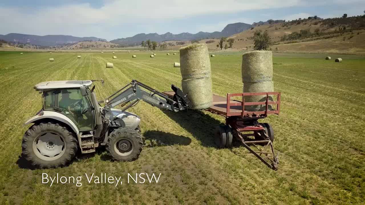 A tractor and hay in a lovely field of mown hay in the beatiful Bylong Valley 