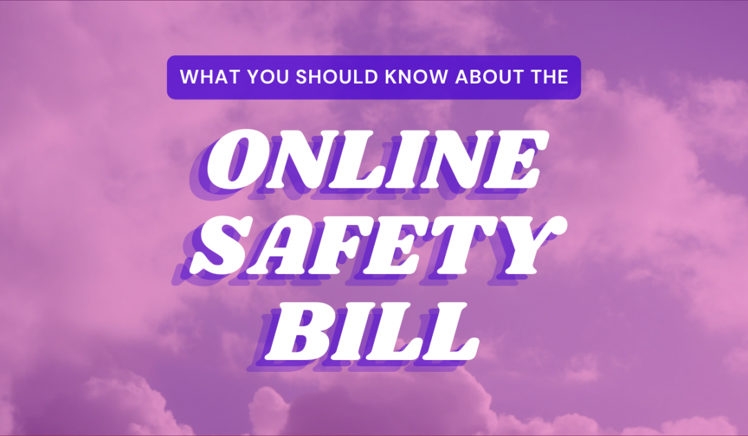 'What you need to know about the Online Safety Bill.' Credit Digital Rights Watch