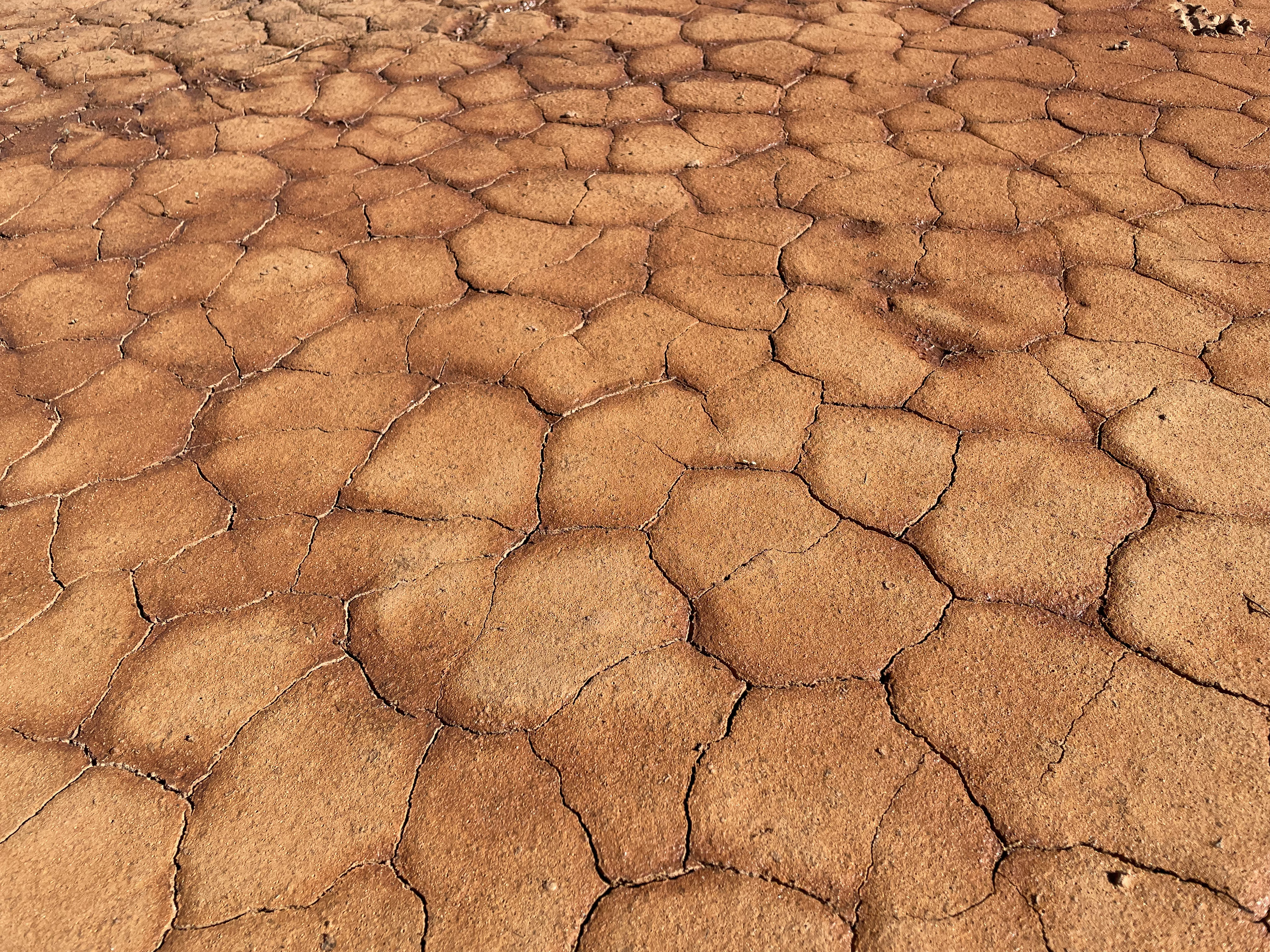 image of cracked and drying earth