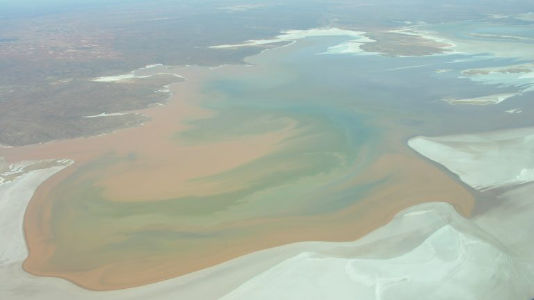 An aerial view of Lake Torrens with the north end cut off, as well as west and east tributaries. The colours are muted and mystical pastels. It is very beautiful.