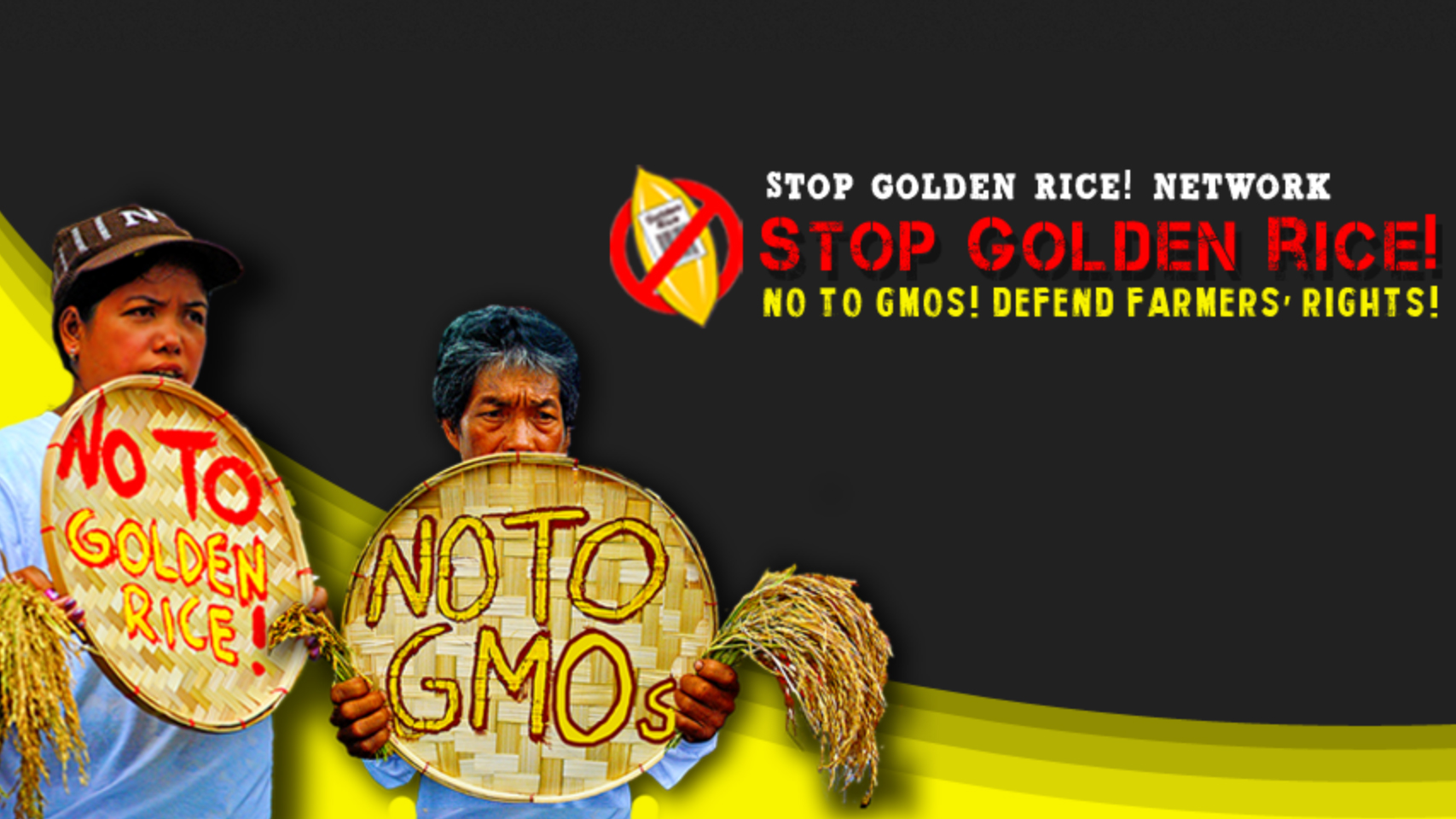 The picture is a campaign promotional graphic headed with some text saying “Stop Golden Rice! Network; Stop Golden Rice! No to GMOs! Defend Farmers Rights!” There is a logo depicting a single gold rice grain with a label on it saying “Golden Rice”) and a bar code, encircled with a prohibition sign. There are also 2 Indigenous farmers each holding a threshing basket and a clump of freshly harvested rice. One basket has text saying “No to Golden Rice” and the other has text saying “No to GMOs”.