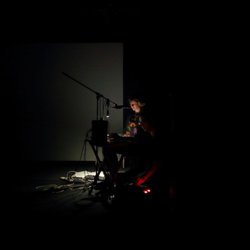 Anja Kanngieser performing 'A Story of Extinction' at Liquid Architecture festival.