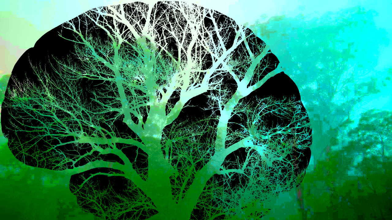 Abstract ‘arty’ image. A black stencil of a large brain is superimposed on a psychedelic forest scene in various shades of green. The gaps in the black stencil brain are the blood capillaries that look like the outline of a tree through which the greens of forest scene can be seen, and thus the two images are blended together to become one.