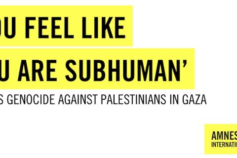 Image: 'You feel like you are subhuman', Amnesty International (2024)