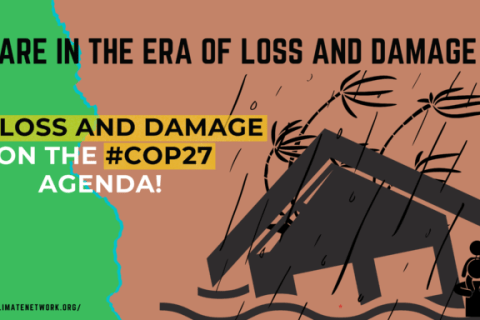 Cop 27 Loss and damage