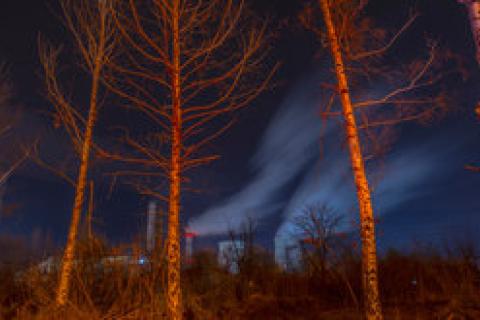 These trees are gone. Bulgaria - Photo: Vladislav Lepoev Climate Visuals Countdown.