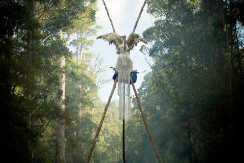 FORESTS The weld forest angel Photo by Matthew Newton.