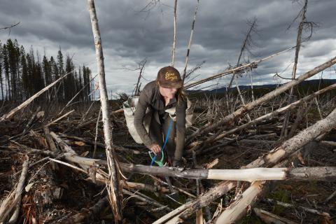 Tree Planter - Cleo Carpenter by Film Maker Rita Leistner