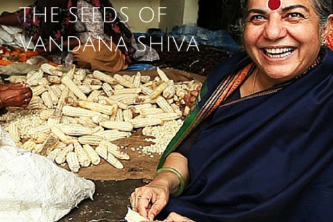 THE SEEDS OF VANDANA SHIVA - BECKET FILMS