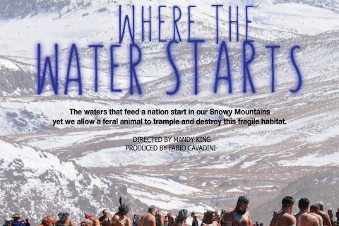 Where the water starts : Mandy King and Fabio Cavadini