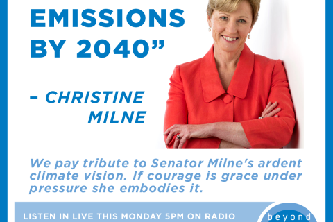 Senator Milne  "Net zero emissions by 2040"