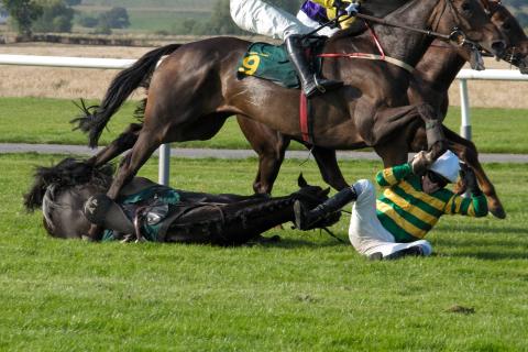 Falling racehorse