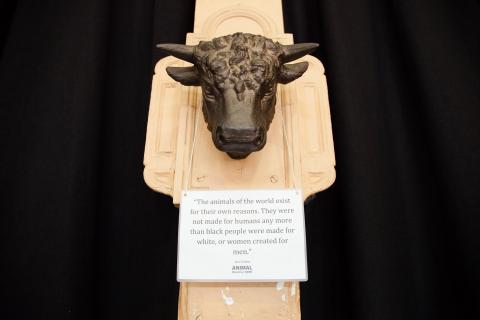 Brass cows head with message of hope for animals.