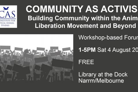 community as activism