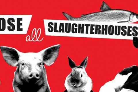 March To Close All Slaughterhouses Banner