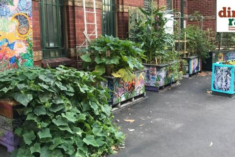 Drill hall community gardens