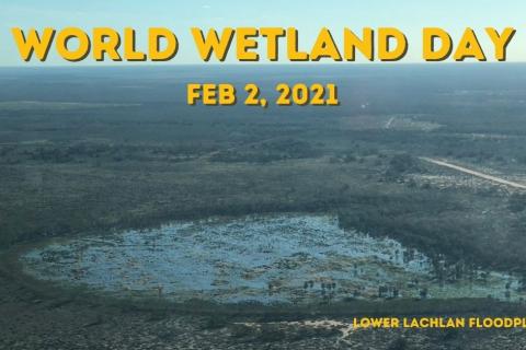 World Wetlands Day