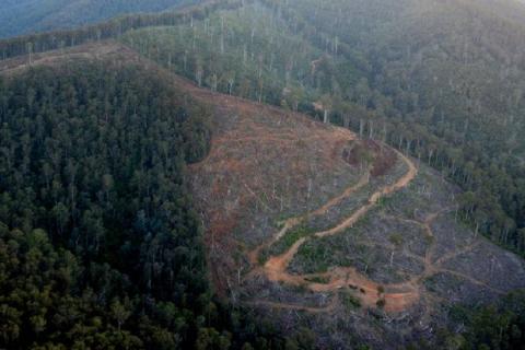 Ariel of Big River coup, East Gippsland. Photo: https://flic.kr/p/e2yNQc