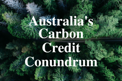 Green trees with text "Australia's Carbon Credits Conundrum" over the top