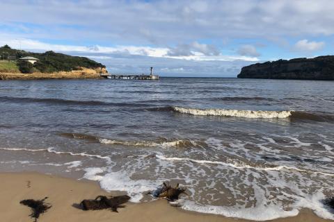  The beach at Port Campbell, Victoria