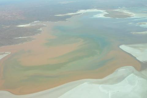 An aerial view of Lake Torrens with the north end cut off, as well as west and east tributaries. The colours are muted and mystical pastels. It is very beautiful.