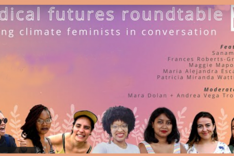 A promotional banner featuring headshots of seven young Women of Colour on a banner with a colourful background and text saying ‘Radical Futures roundtable: Young climate feminists in conversation. Featuring Sanam Amin, Frances Roberts-Gregory, Maggie Mapondera, Maria Alejandra Escalante and Patricia Miranda Wattimena. Moderated by Mara Dolan & Andrea Vega Troncoso WEDO’