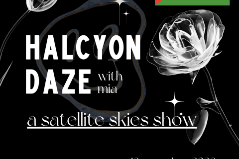 Halcyon Daze Episode 8 promotional tile, featuring Palestinian flag