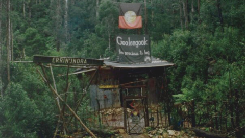 Forest protests at Goolengook, East Gippsland - Tony Hastings